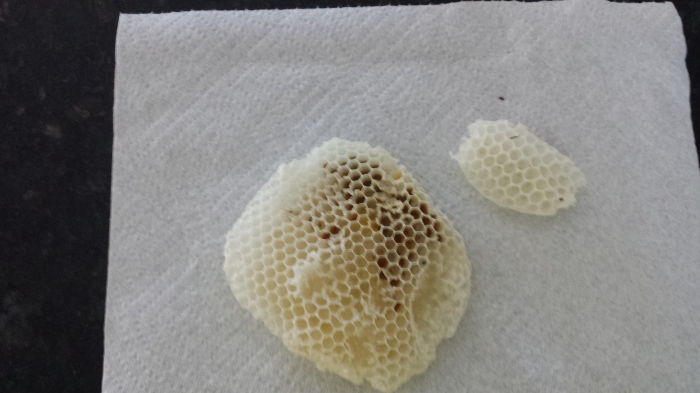 Rogue Honeycomb